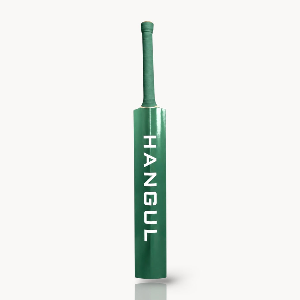 Ayr - Lightest Hard Tennis Bat